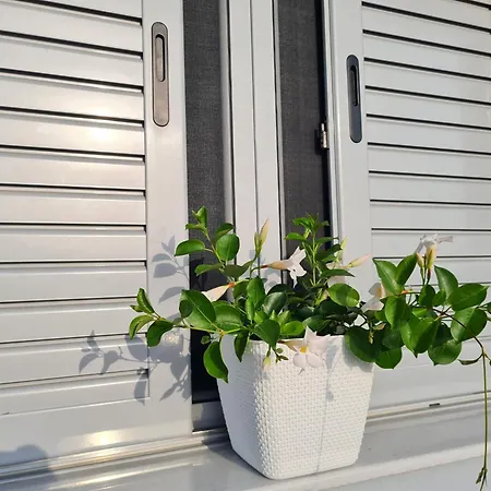 Nefelis Casa de hóspedes Himare